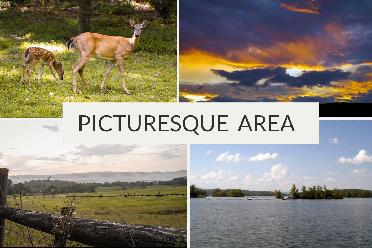 Beautiful Scenery All Around