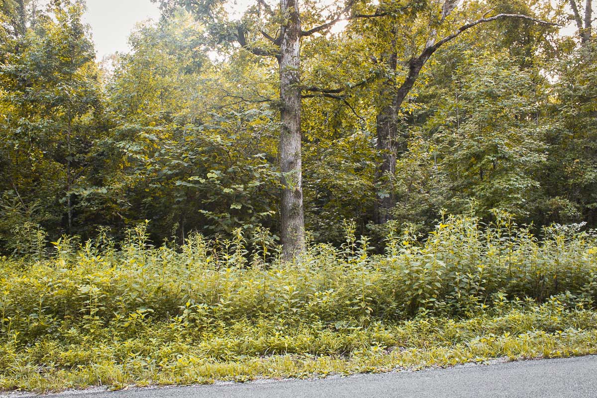 Street View of The Lot For Sale